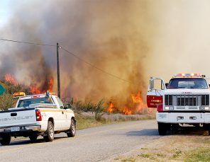 blacksagefire