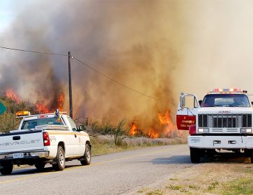 blacksagefire
